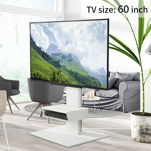 【新生活set】V5(LOWTYPE) 3点セット