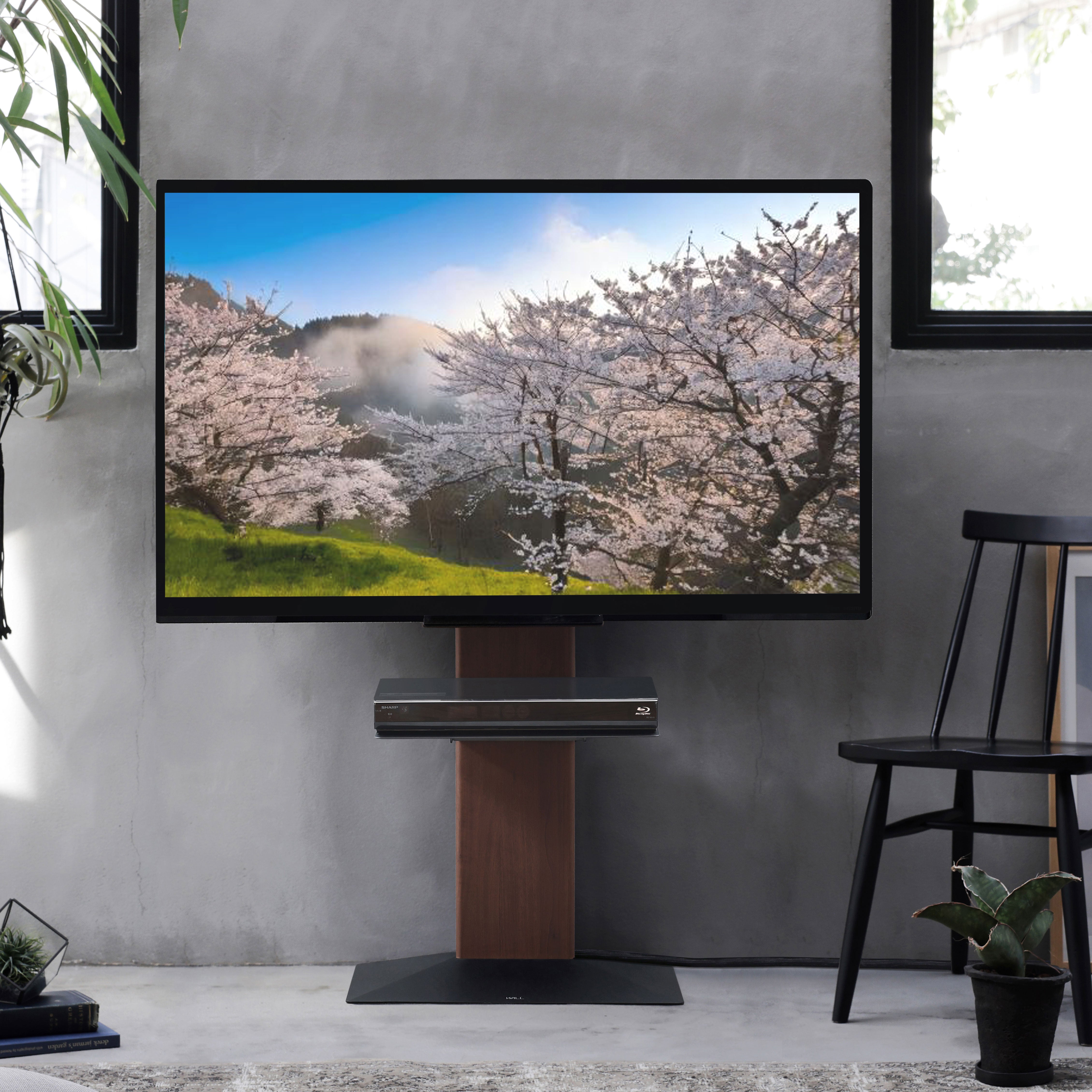 【新生活set第2弾】V3 COMPACT 3点セット