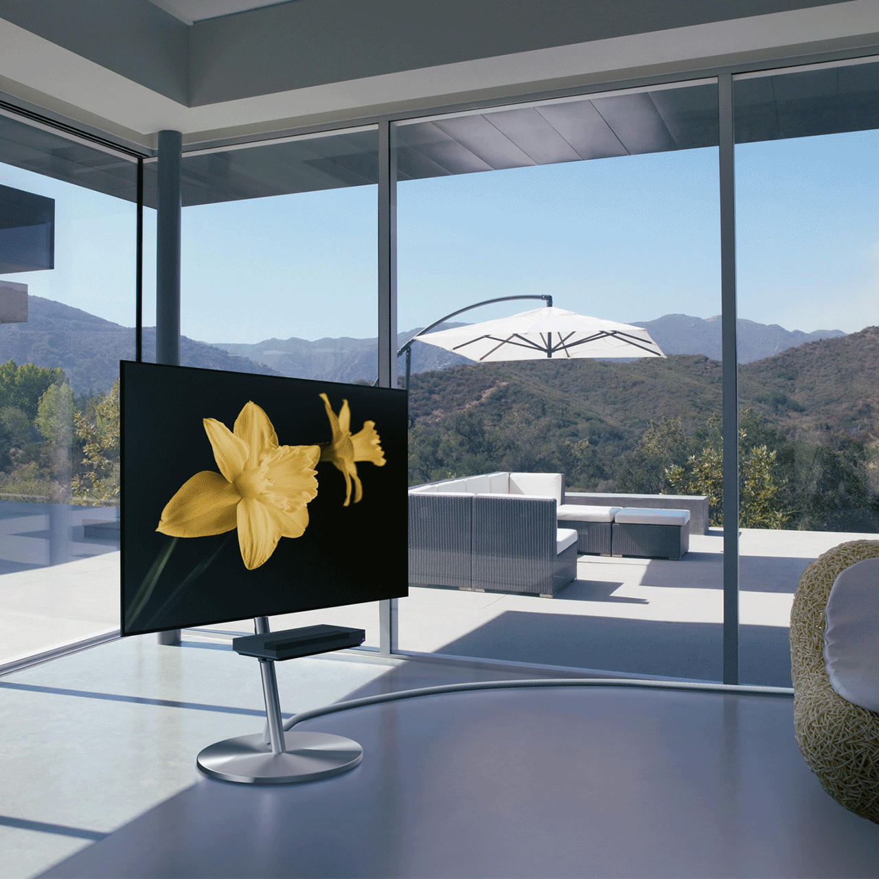 WALL SEVENSTAND A2 STAINLESS CASTER(LARGE TYPE)【組立設置サービス付き】