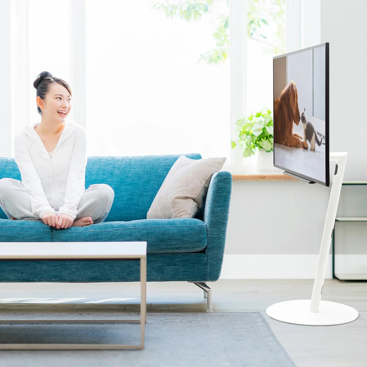 WALL SEVENSTAND A2(LOW/HIGH TYPE)