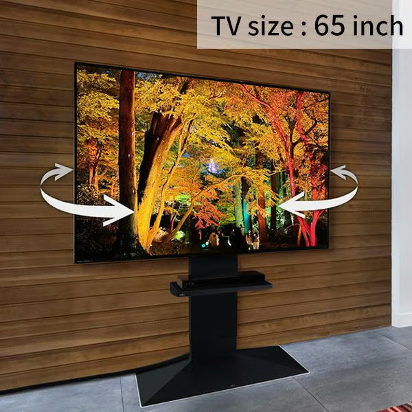 【新生活set】V3 SW（LOWTYPE）  3点セット