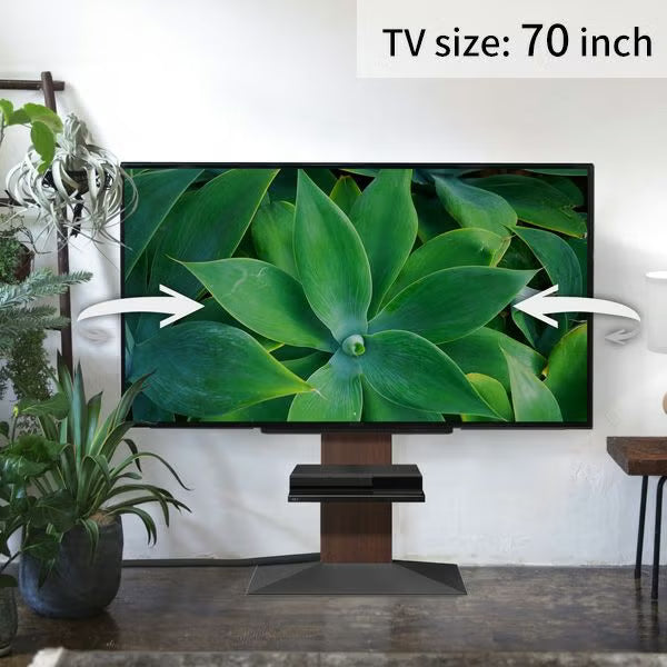 【新生活set】V3 SW（LOWTYPE）  3点セット