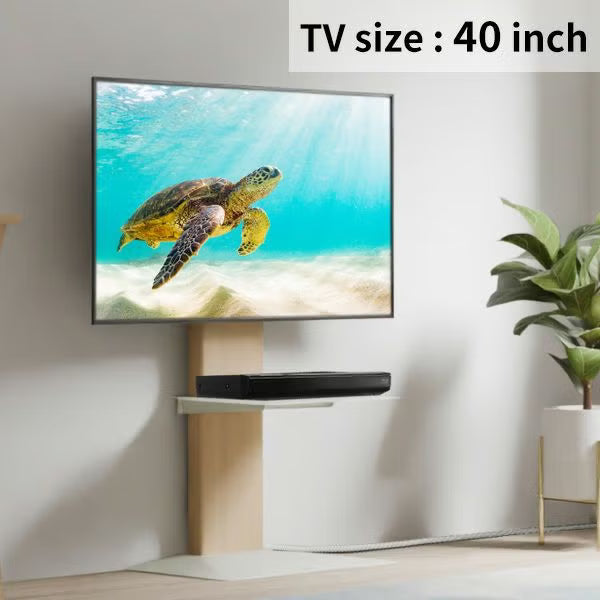 【新生活set第2弾】V3 COMPACT 3点セット