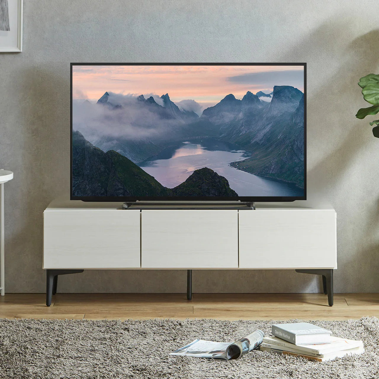 テレビ台FV 120cm／160cm | 板扉／ガラス扉・日本製完成品 | EQUALS STORE