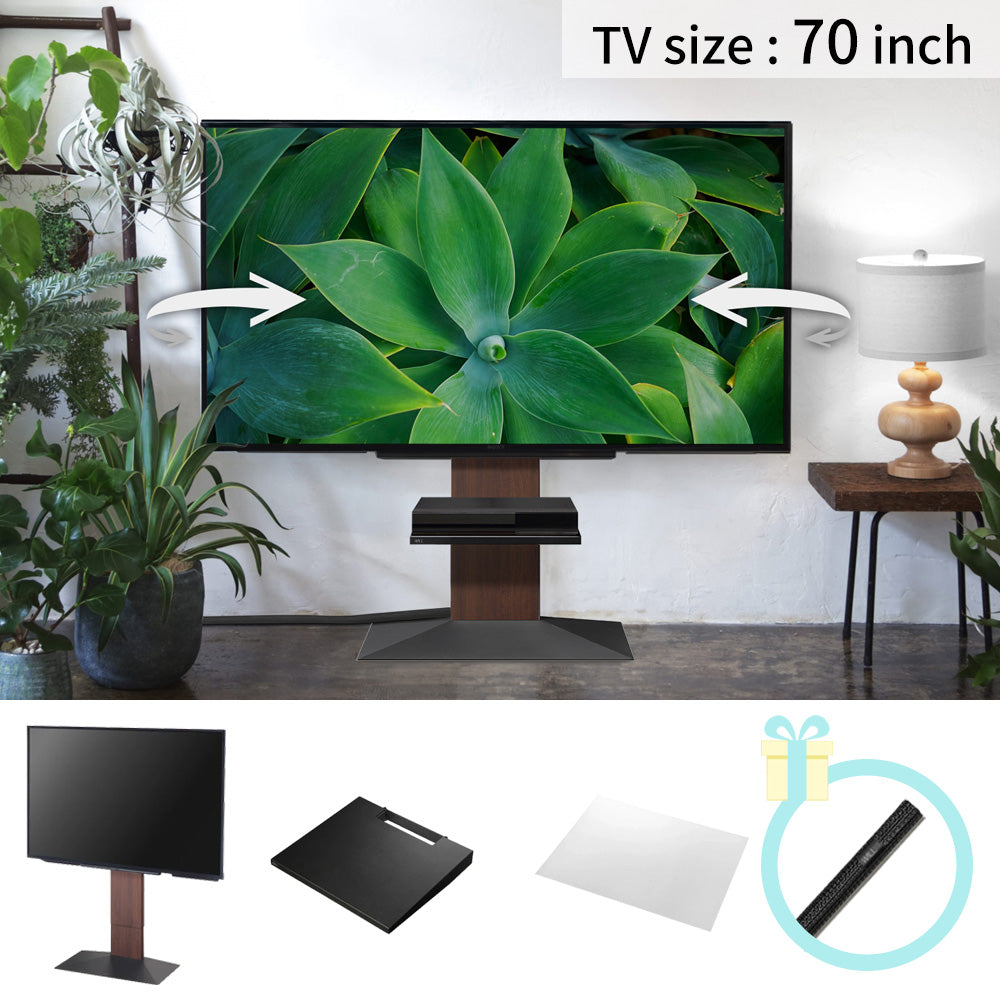 【春set】V3 SW（LOWTYPE）  3点セット